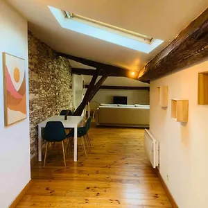 Spacieux En Plein Coeur De Castres Appartement